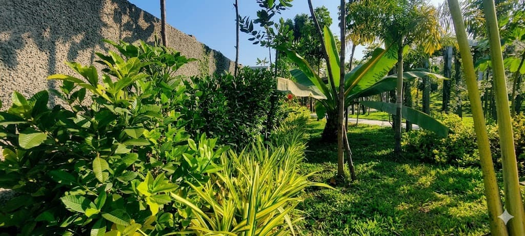 AURA RETREAT - Image 4