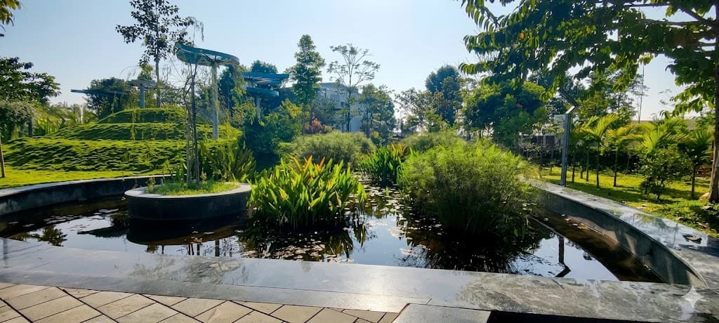 AURA RETREAT - Image 6